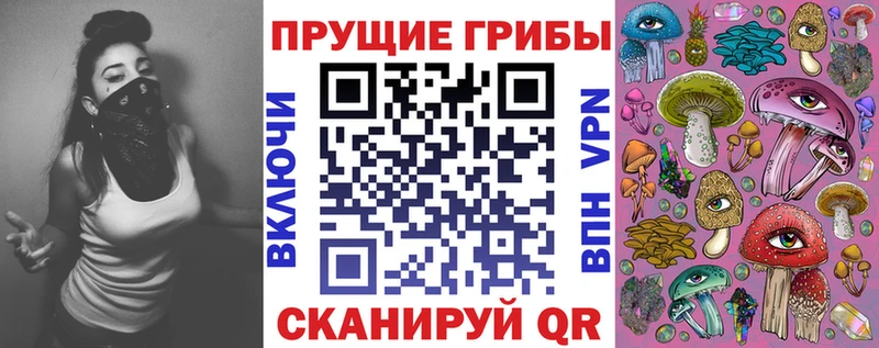 Купить Курчалой Галлюциногенные грибы GOLDEN TEACHER